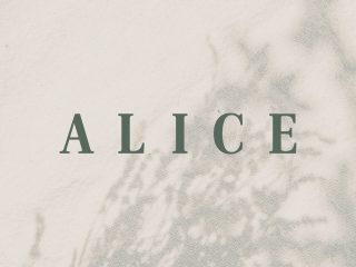 Alice Coffee & Desserts